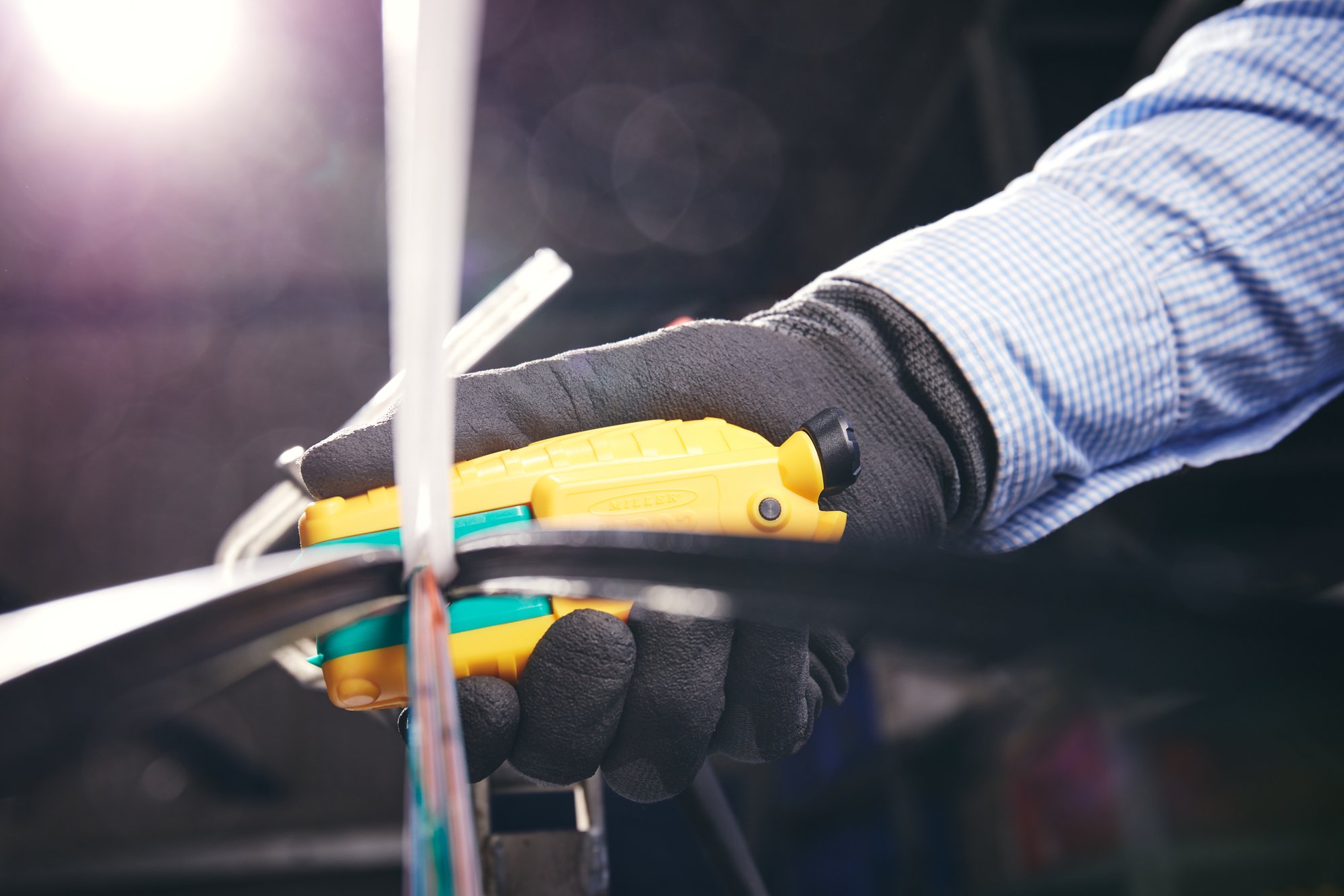 MB02_pro_shot_in_situ_2