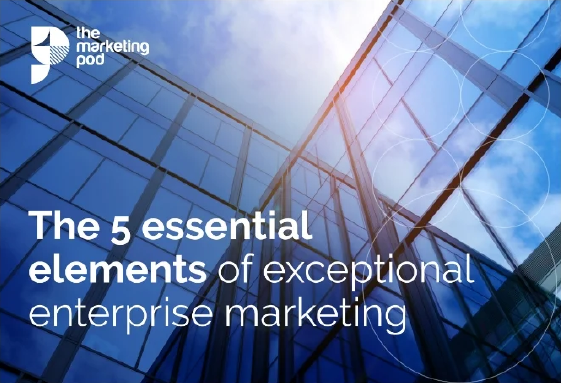 the-5-essential-elements-of-expectional-enterprise-marketing